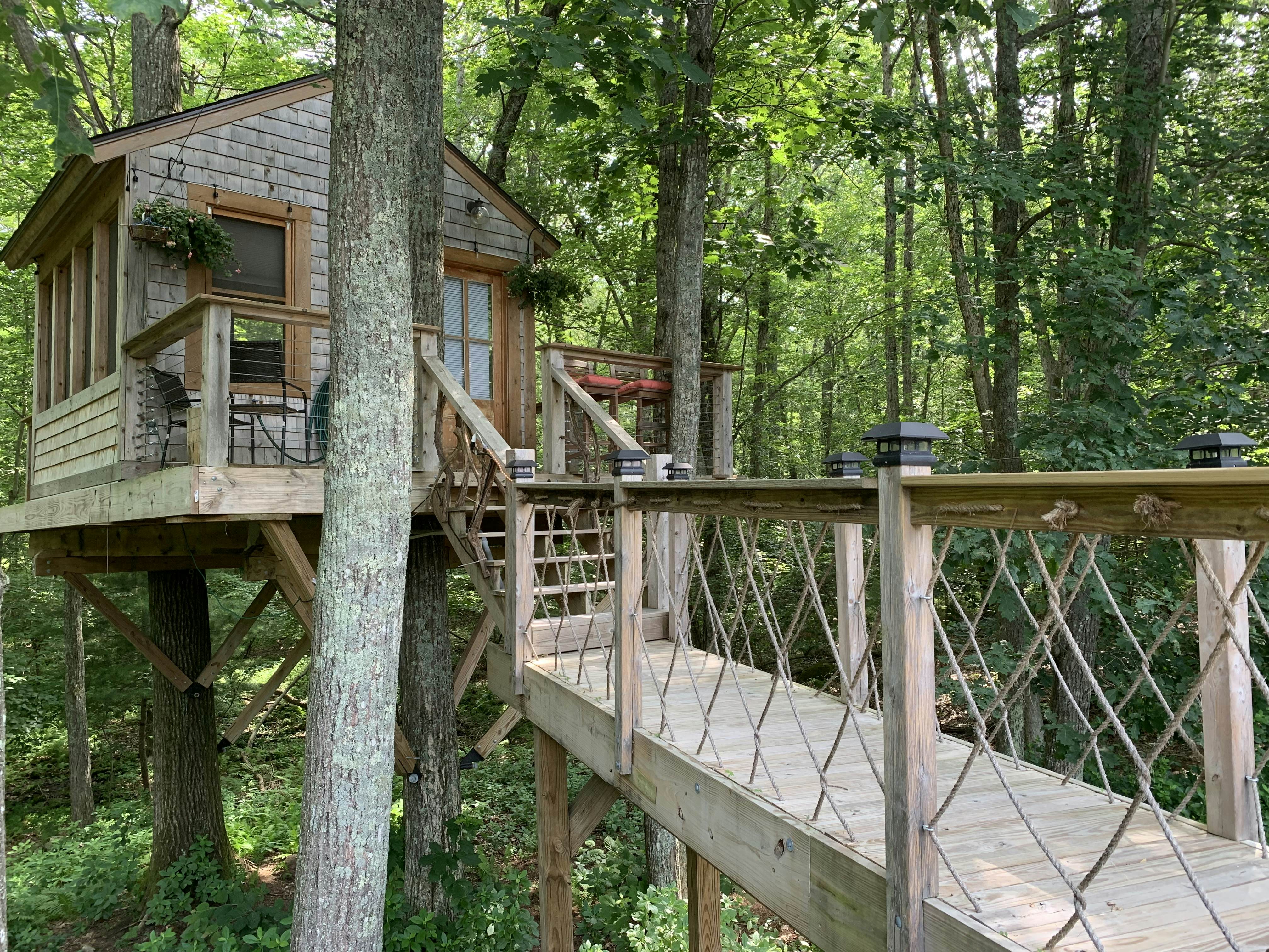 The 13 best tree house vacation rentals in the US Lonely